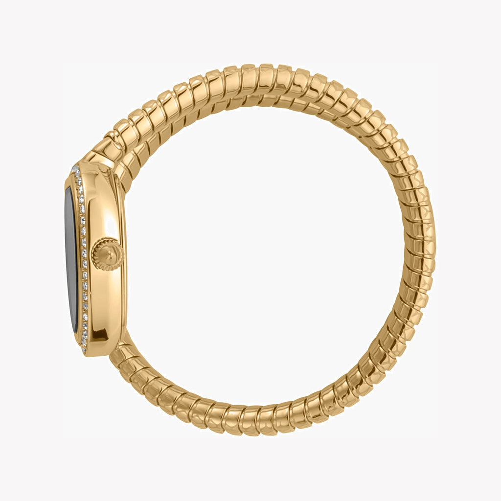 JUST CAVALLI Women's Watch with Gold Stainless Steel Case and Gold Stainless Steel Band
