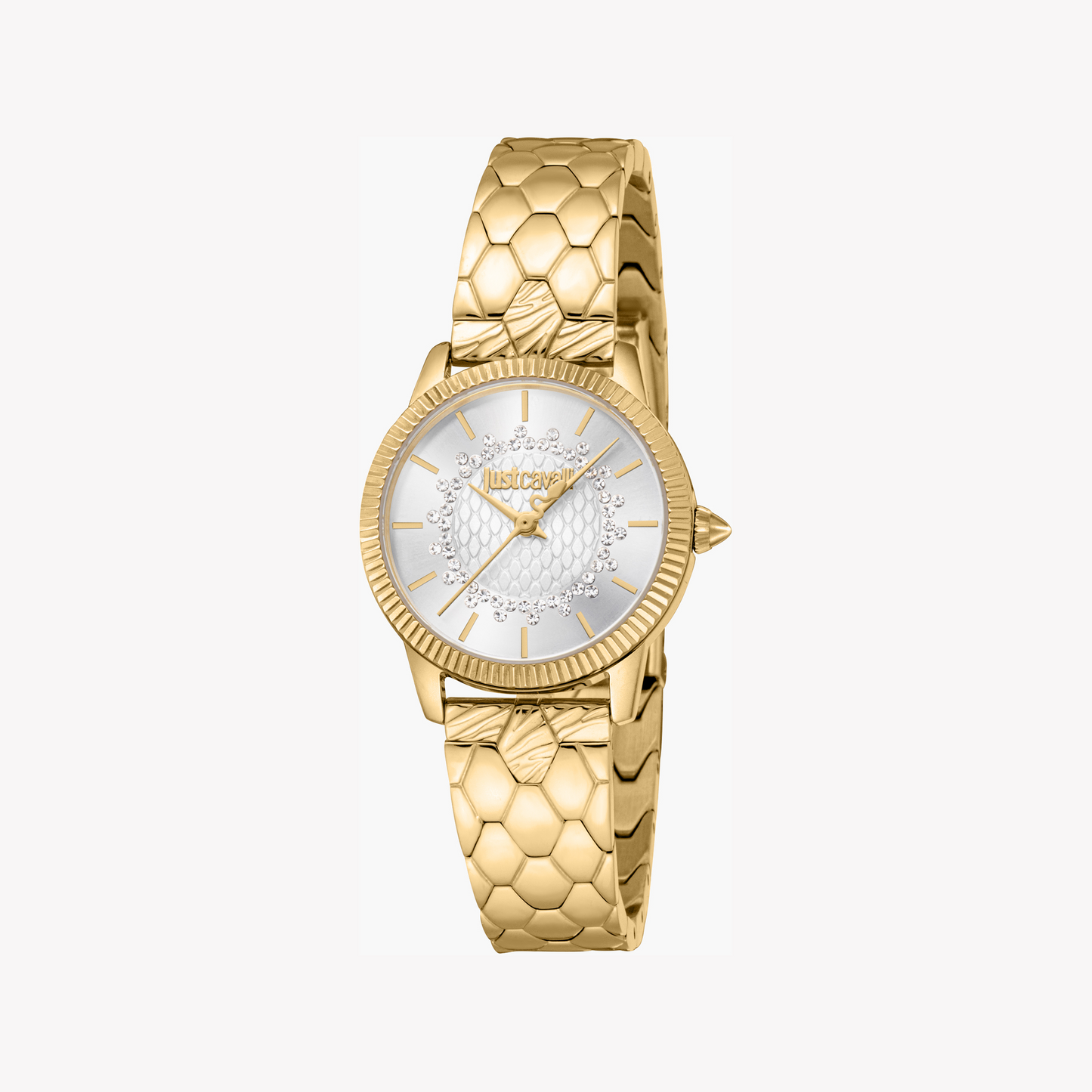 JUST CAVALLI Daydreamer JC1L258M0235 Women's Watch