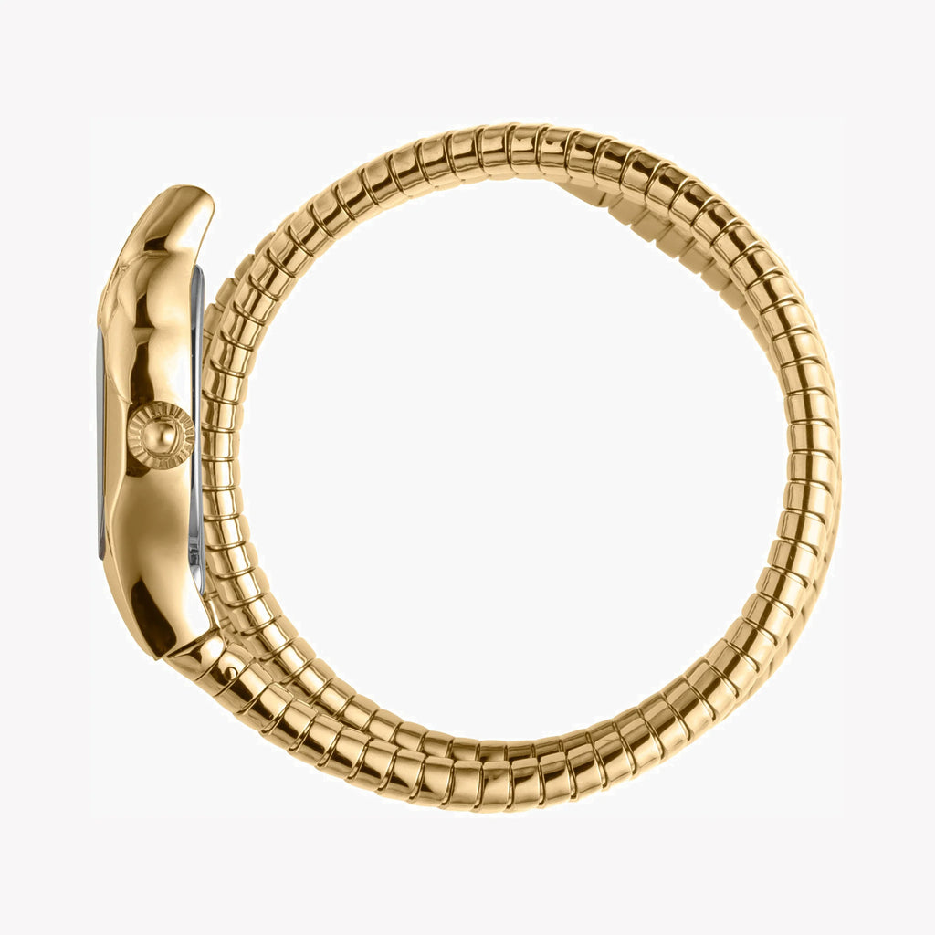 JUST CAVALLI Women's Watch with Gold Stainless Steel Case and Gold Stainless Steel Band