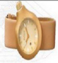 X18818-736-C AXCENT Watches