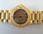 ZKW1432-1 ZINK 's Watch