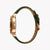 JUST CAVALLI JC1G079L0025 - ELEGANT GREEN DIAL MENS WATCH WITH ROSE GOLD CASE & LEATHER BAND
