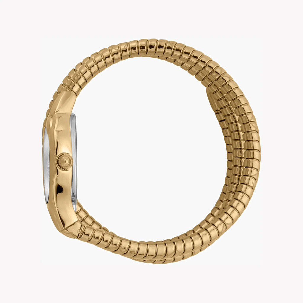 JUST CAVALLI Women's Watch with Gold Stainless Steel Case and Gold Stainless Steel Band