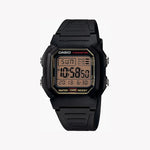 CASIO W-800HG-9AVDF Men's Watch