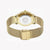 JUST CAVALLI Women's Watch with Gold Stainless Steel Case and Gold Stainless Steel Band