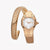 JUST CAVALLI Women's Watch with Rose Gold Stainless Steel Case and Rose Gold Stainless Steel Band