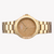 ZINK Women's Gold Stainless Steel Watch | ZK125L1SS-109