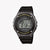 CASIO W-216H-1BVDF Men's Watch