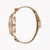 JUST CAVALLI Women's Watch with Rose Gold Stainless Steel Case and Rose Gold Stainless Steel Band