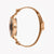 JUST CAVALLI Women's Watch with Rose Gold Stainless Steel Case and Rose Gold Stainless Steel Band