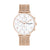 PC902641F10-C PIERRE CARDIN Watches