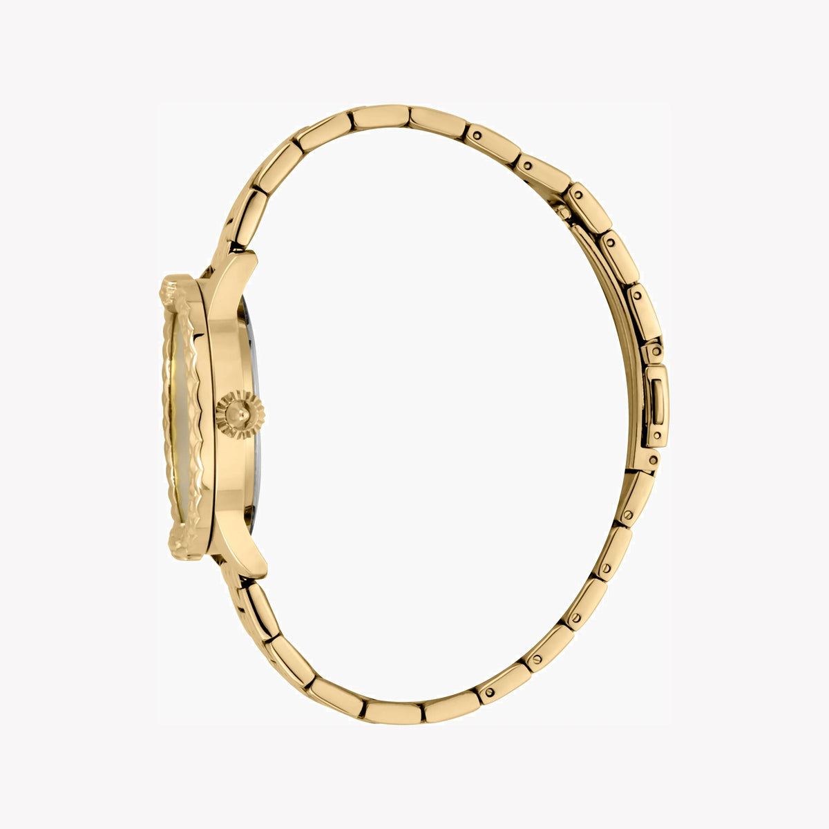 JUST CAVALLI Women's Watch with Gold Stainless Steel Case and Gold Stainless Steel Band