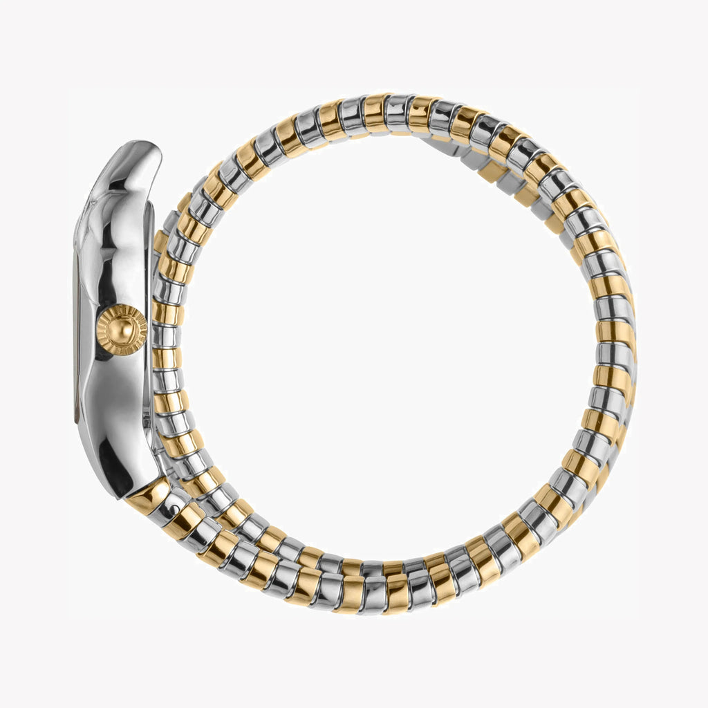 JUST CAVALLI Women's Watch with Silver Stainless Steel Case and Silver & Gold Stainless Steel Band