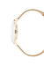 PC902722F118 PIERRE CARDIN Women's Watch