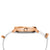 TW2R49100 TIMEX Women's Watch