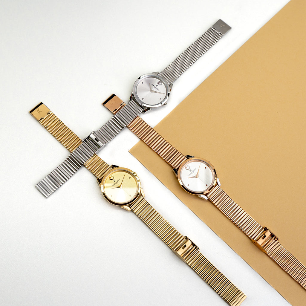 CPI.2530 PIERRE CARDIN Women's Watch