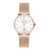 PC902132F06 PIERRE CARDIN Women's Watch