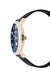 PC902671F127 PIERRE CARDIN Men's Watch