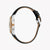 JUST CAVALLI Women's Watch with Silver Stainless Steel Case and Black Leather Band