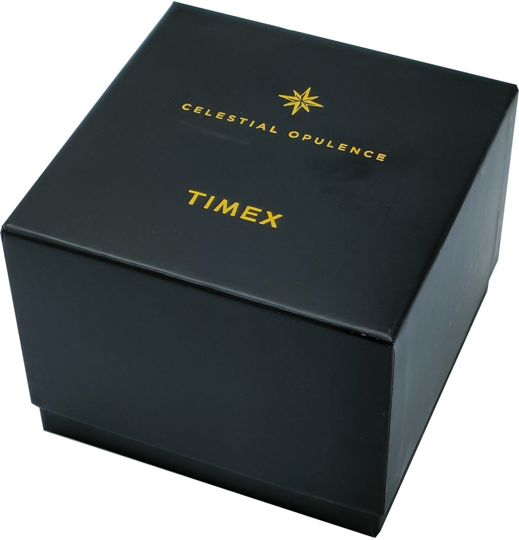 T49905 TIMEX Men's Watch