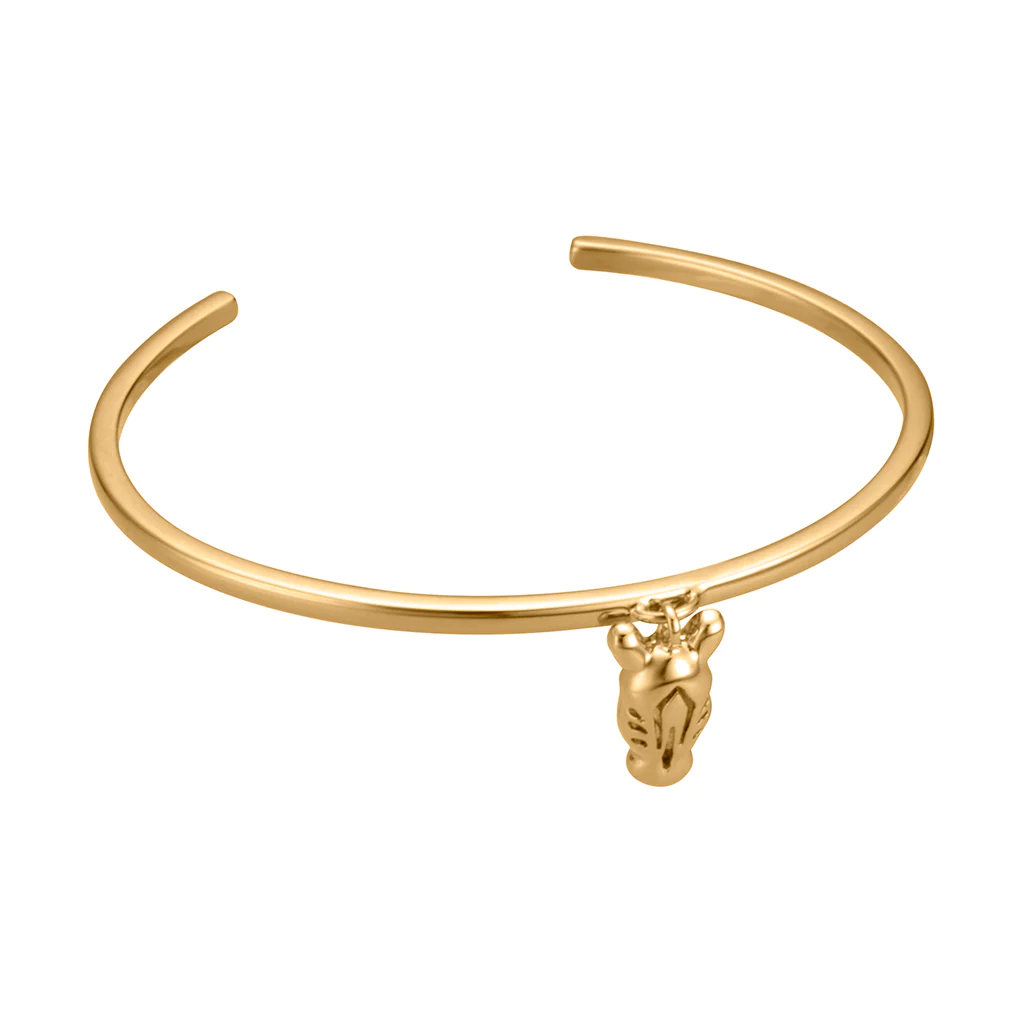 JCBA00440800 JUST CAVALLI Women's Bracelet Outlet