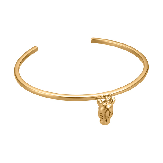 JCBA00440800 JUST CAVALLI Women's Bracelet Outlet