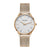 PC902282F09 PIERRE CARDIN Women's Watch