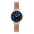 PC902662F11 PIERRE CARDIN Women's Watch