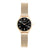 PC902682F117 PIERRE CARDIN Women's Watch