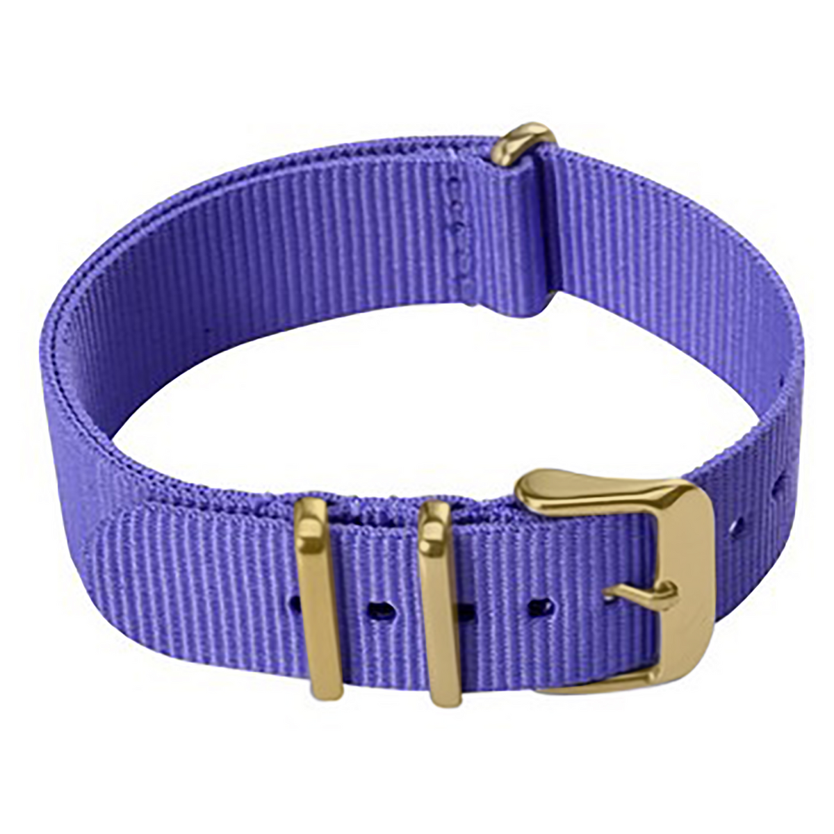 ZNB002PG Zink Women's Nylon Strap