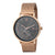 CBN.3029 PIERRE CARDIN Men's Watch