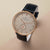 CBV.1048 PIERRE CARDIN Men's Watch