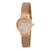 CCM.0509 PIERRE CARDIN Women's Watch