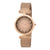 CMD.3509 PIERRE CARDIN Women's Watch