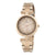CMD.3526 PIERRE CARDIN Women's Watch