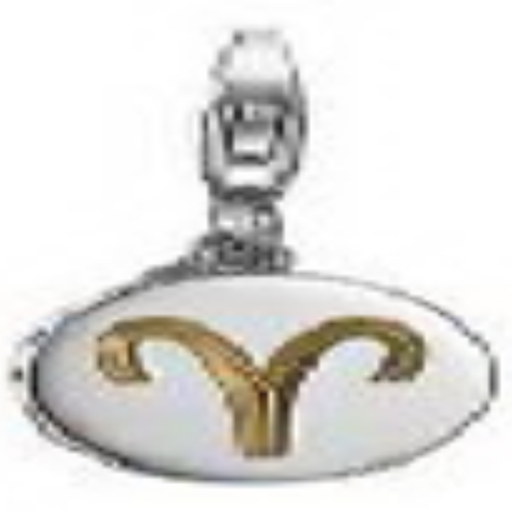 CH-91148A ESPRIT Charms